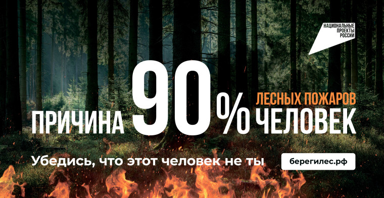Федеральная информационная противопожарная кампания «Останови огонь!».